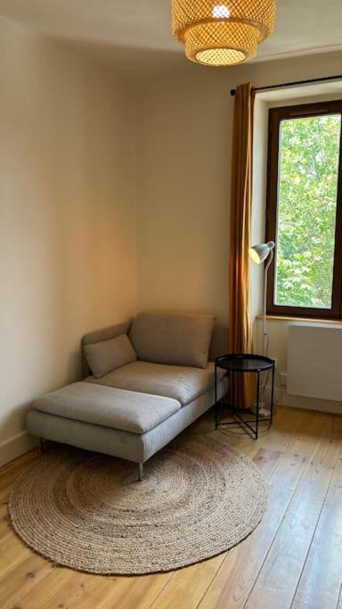 T2 Cocon Avec Balcon Et Parking Apartment La Roche-sur-Foron Exterior foto