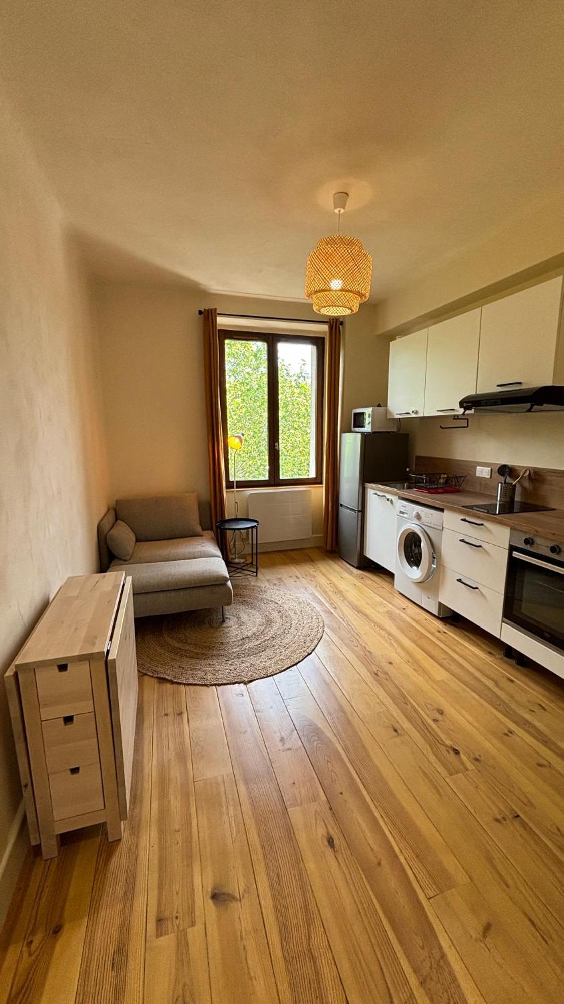 T2 Cocon Avec Balcon Et Parking Apartment La Roche-sur-Foron Exterior foto